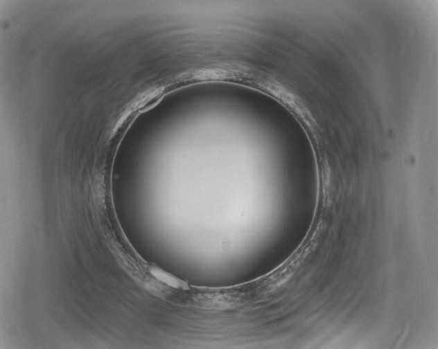 X0000080200297200612081434