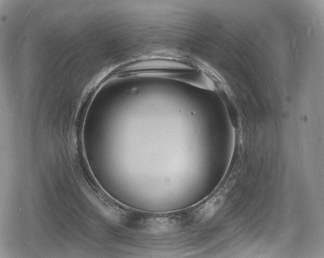 X0000080200298200612081434