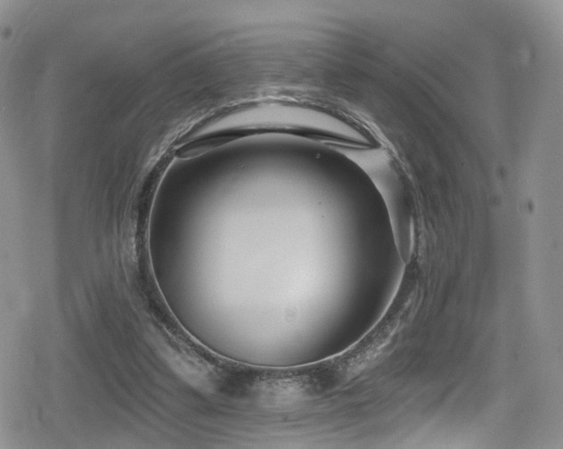 X0000080200299200612081434