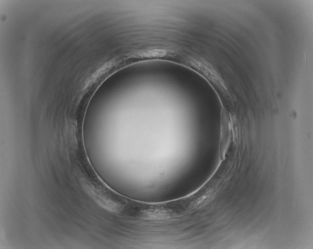 X0000080200300200612081434