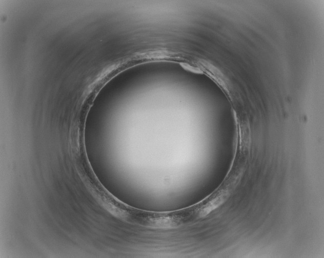 X0000080200301200612081434