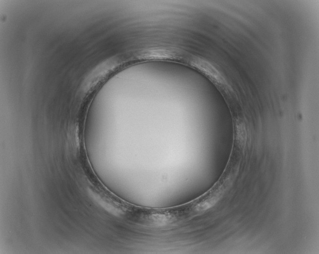 X0000080200302200612081434