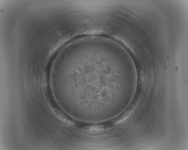 X0000080200303200612081434