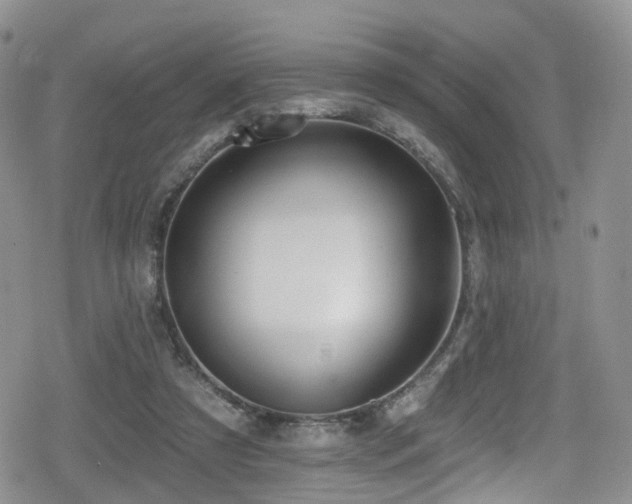 X0000080200305200612081434