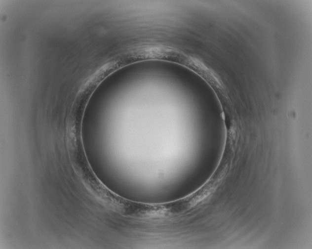 X0000080200306200612081434