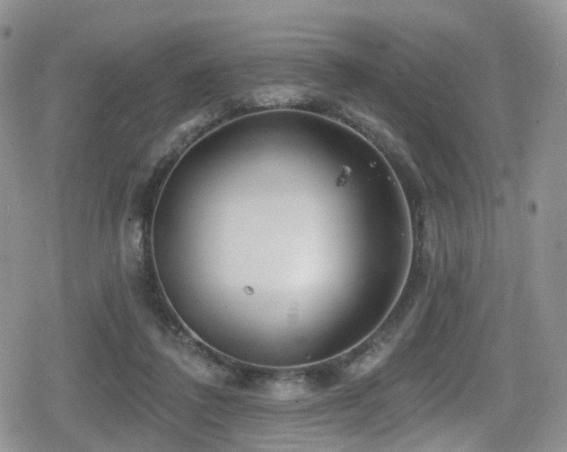 X0000080200308200612081434