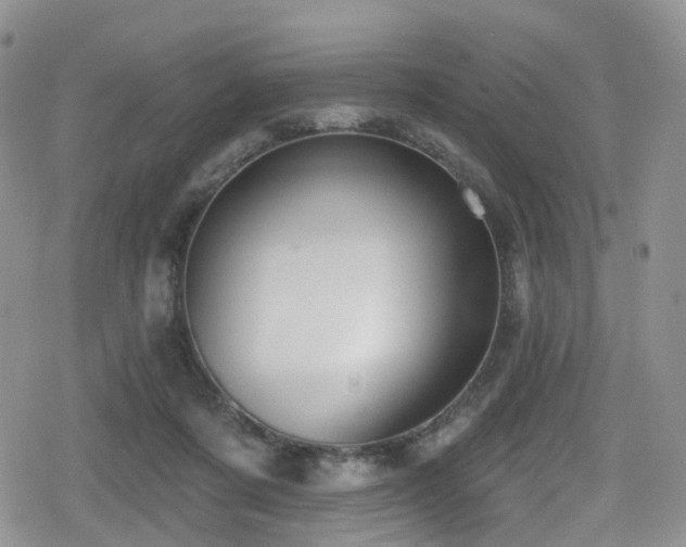 X0000080200311200612081434