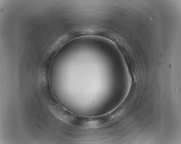 X0000080200312200612081434