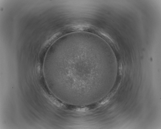 X0000080200314200612081434