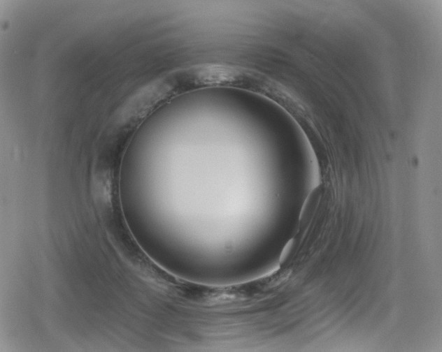 X0000080200315200612081434