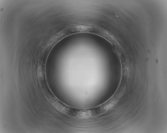 X0000080200317200612081434