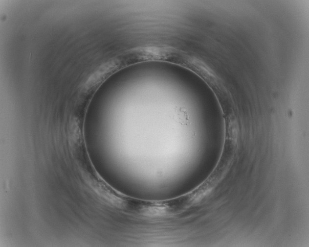 X0000080200318200612081434