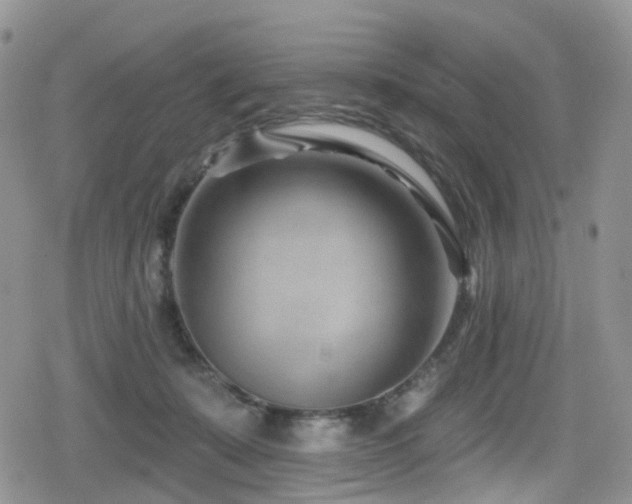 X0000080200319200612081434