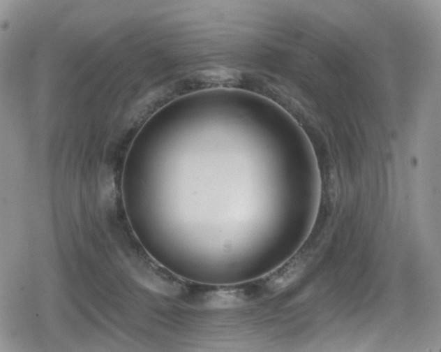 X0000080200320200612081434