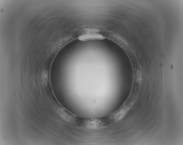 X0000080200321200612081434