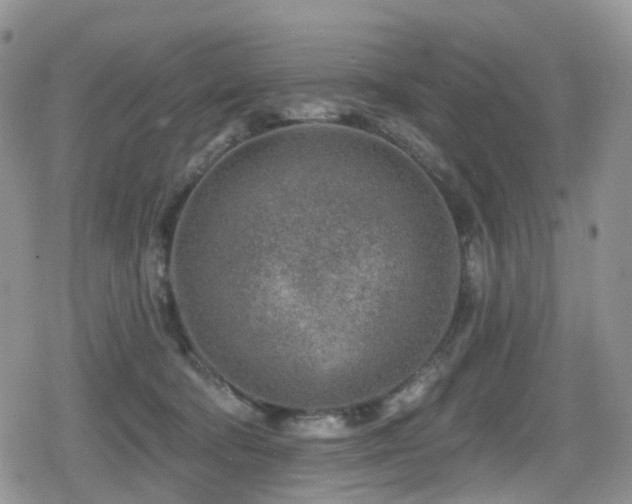 X0000080200322200612081434