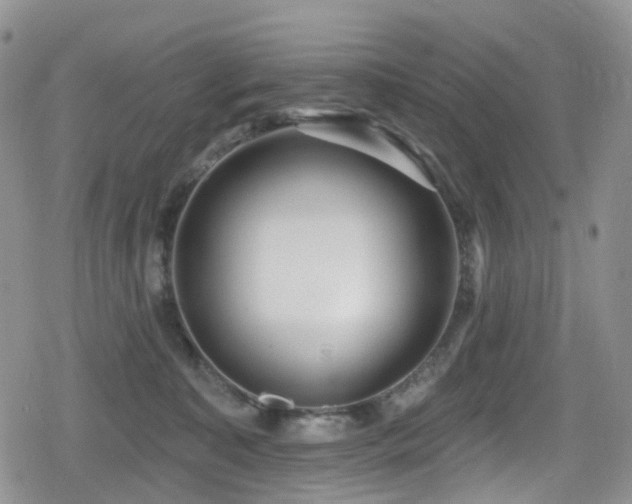 X0000080200323200612081434