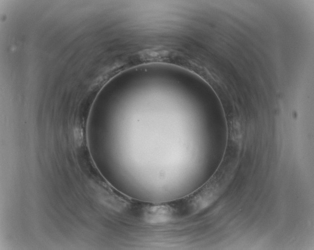 X0000080200324200612081434