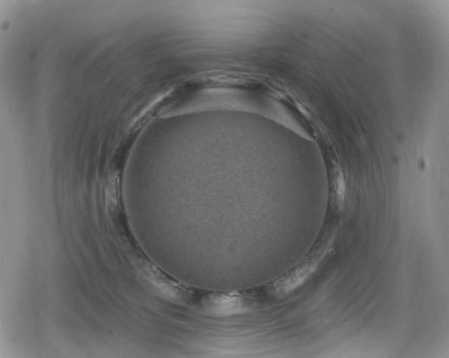 X0000080200325200612081434