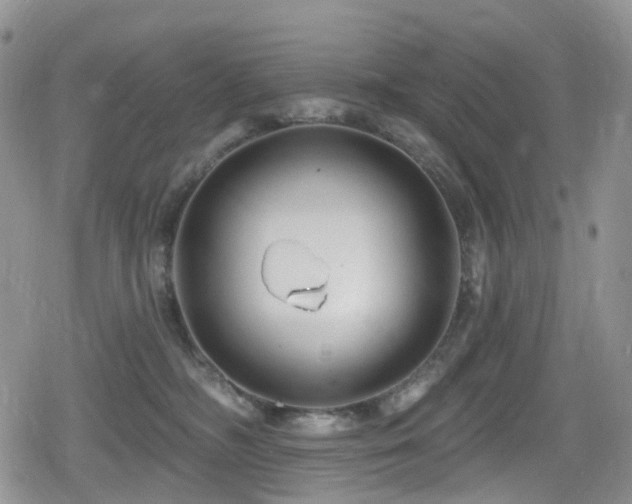 X0000080200326200612081434