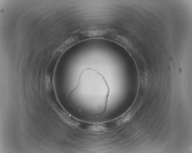 X0000080200327200612081434