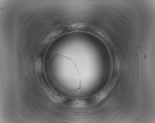 X0000080200328200612081434