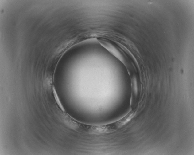 X0000080200329200612081434