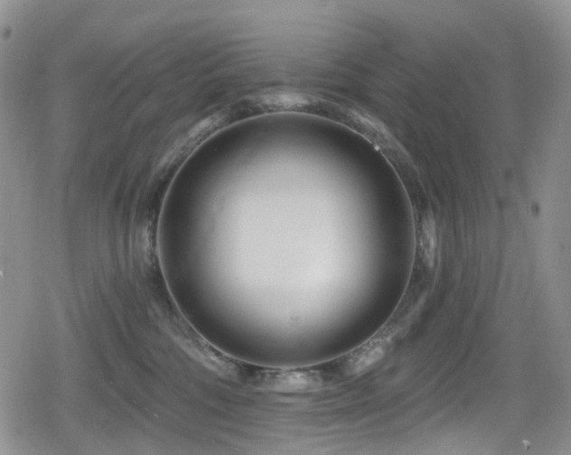 X0000080200330200612081433