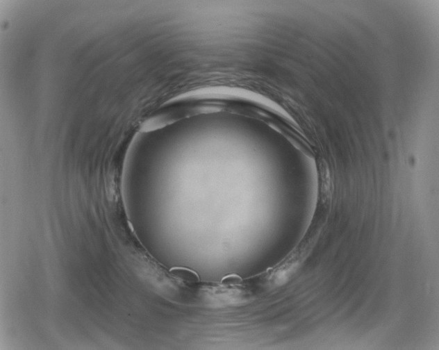 X0000080200331200612081433