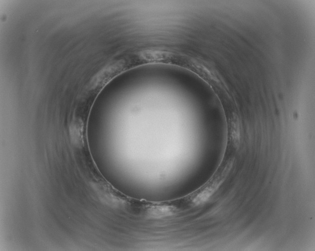 X0000080200332200612081433