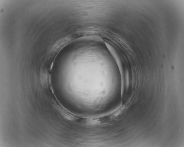 X0000080200333200612081433