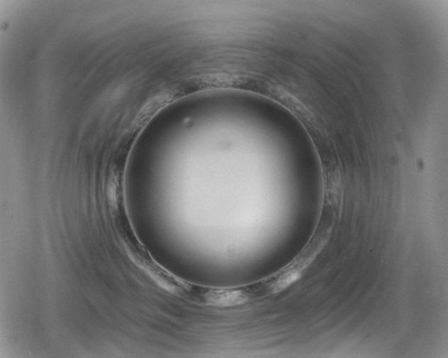 X0000080200334200612081433