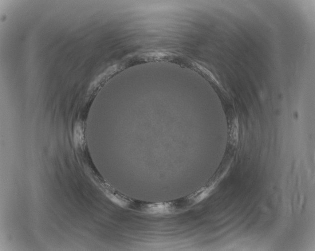 X0000080200335200612081433