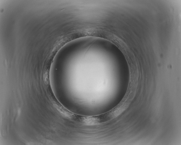 X0000080200336200612081433