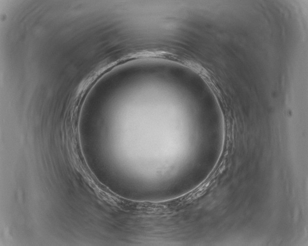 X0000080200337200612081433