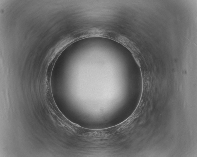 X0000080200338200612081433