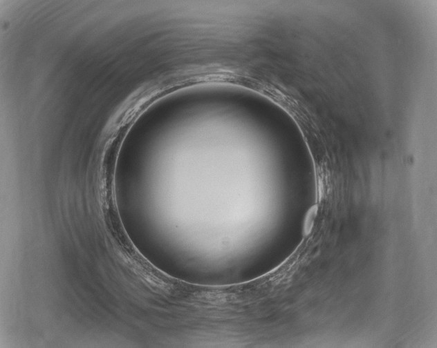 X0000080200339200612081433