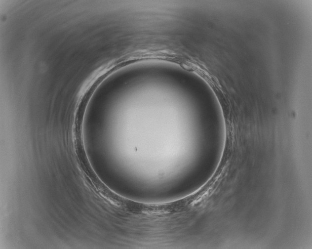 X0000080200340200612081433