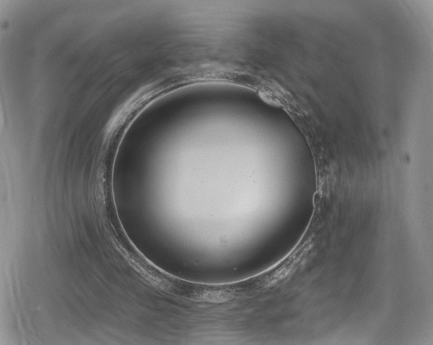 X0000080200341200612081433