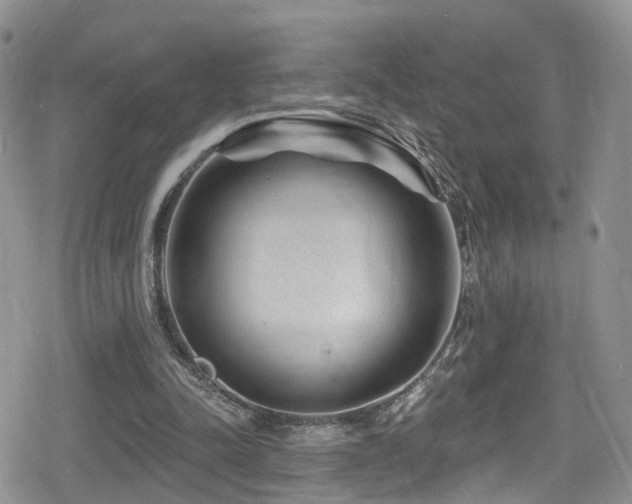 X0000080200342200612081433