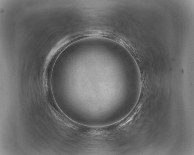 X0000080200343200612081433