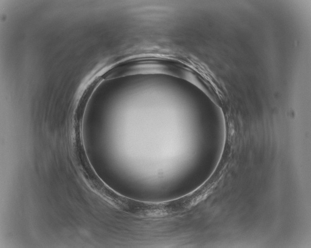 X0000080200344200612081433