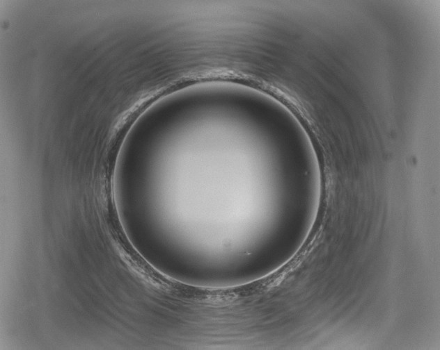 X0000080200345200612081433