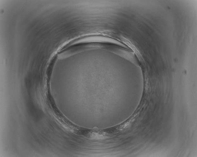 X0000080200346200612081433