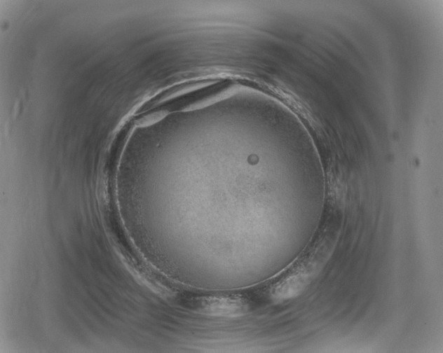 X0000080200347200612081433