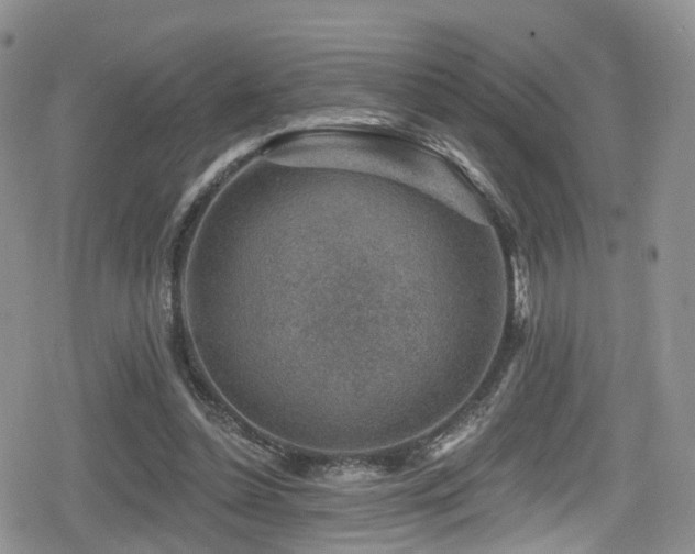 X0000080200348200612081433