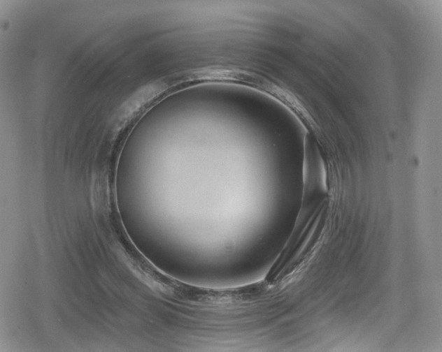 X0000080200349200612081433