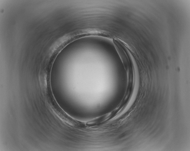 X0000080200350200612081433