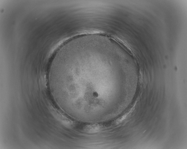 X0000080200351200612081433