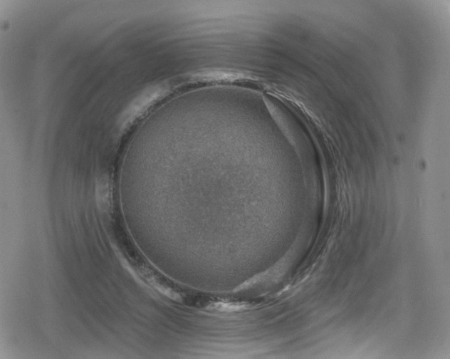 X0000080200352200612081433